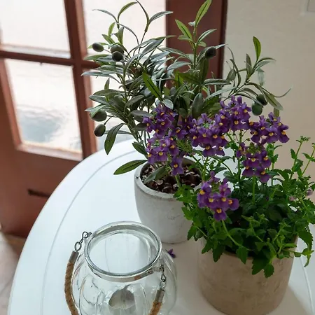 Alte Schule Unter Reet- Klassenzimmer * Tumlauer Koog