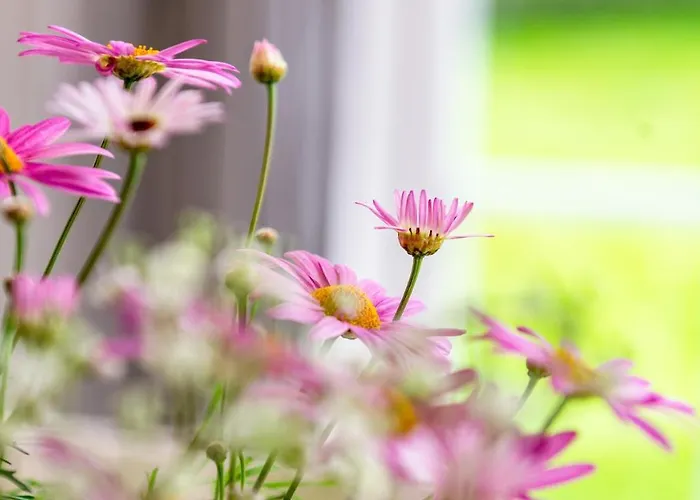 Appartamento Alte Schule Unter Reet- Klassenzimmer